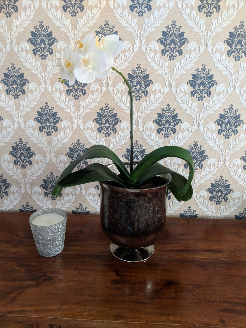 Maker:S,Date:2017-10-13,Ver:6,Lens:Kan03,Act:Lar02,E-ve